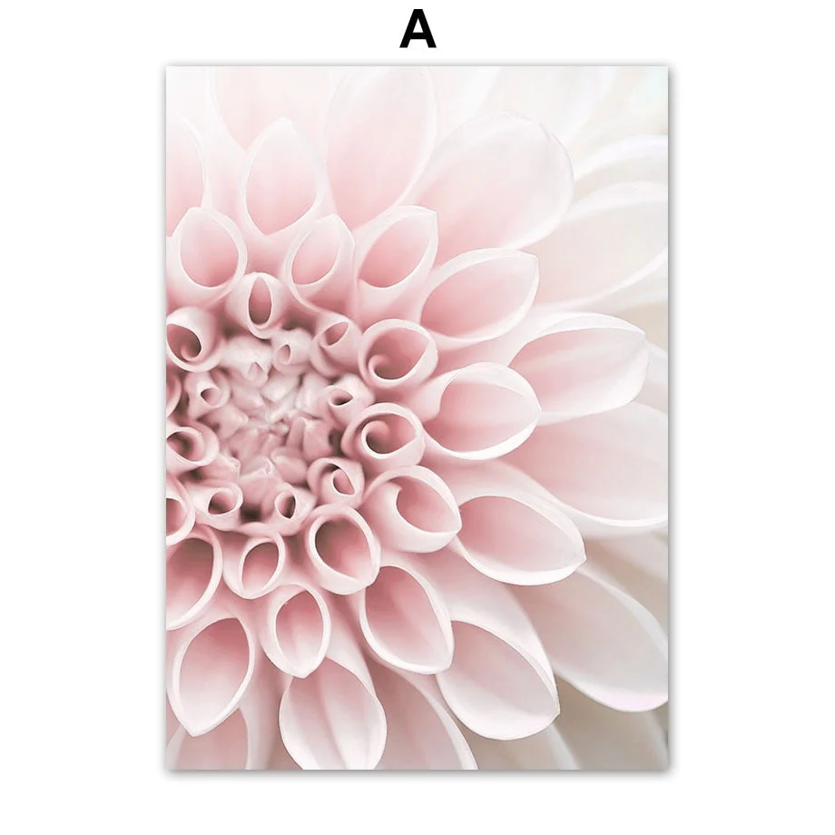 HULIANFU Pink Flower Dahlia Peony Coral Corridor Quotes Wall Art Canvas Painting Nordic Posters And Prints Wall Pictures For Living Room - Deanwangkt