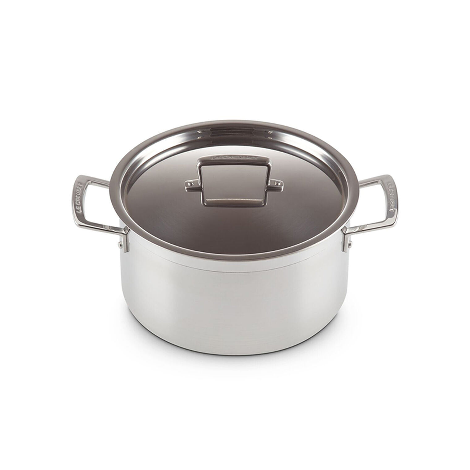 Classic Stainless Steel Stockpot