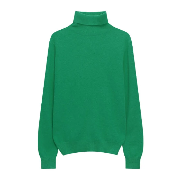 Hulianfu Winter High Quality Wwomen's Wool Sweater Solid Color High-neck Pullover Long-sleeved Knit Top - Deanwangkt