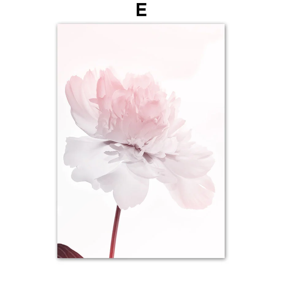 HULIANFU Pink Flower Dahlia Peony Coral Corridor Quotes Wall Art Canvas Painting Nordic Posters And Prints Wall Pictures For Living Room - Deanwangkt