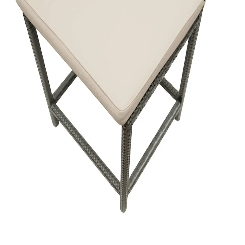 Kenwick Counter Stool with Back and Cushion, Set of 2