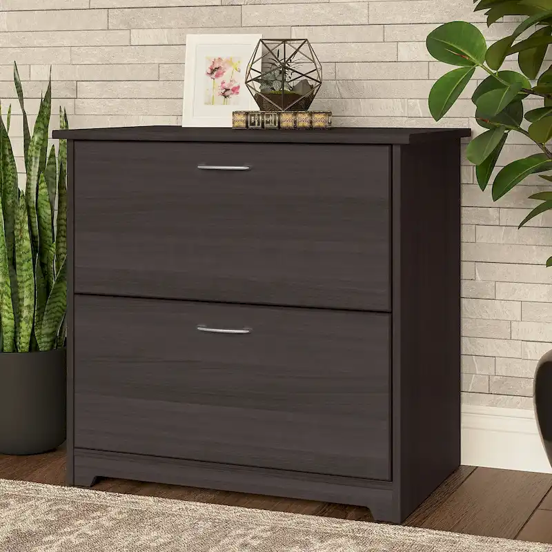 Cabot 2 Drawer Lateral File Cabinet by Bush Furniture