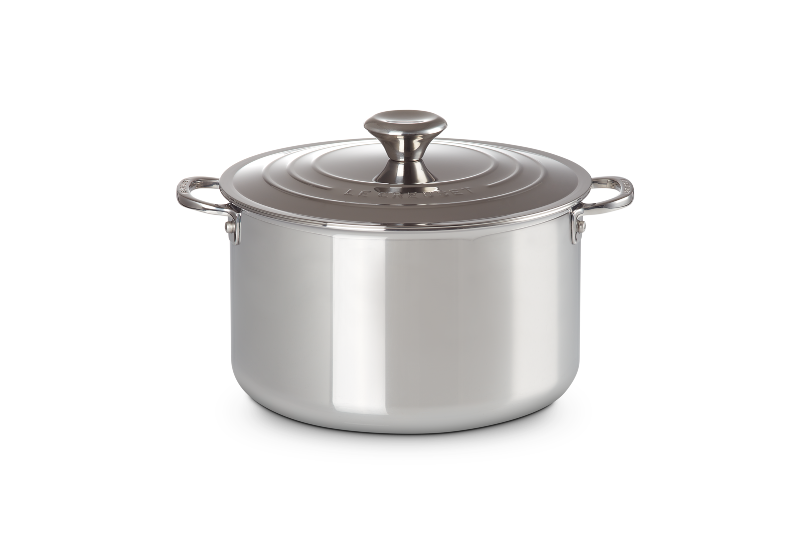Signature Stainless Steel Stock Pot with Lid