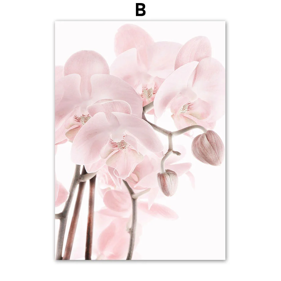 HULIANFU Pink Flower Dahlia Peony Coral Corridor Quotes Wall Art Canvas Painting Nordic Posters And Prints Wall Pictures For Living Room - Deanwangkt