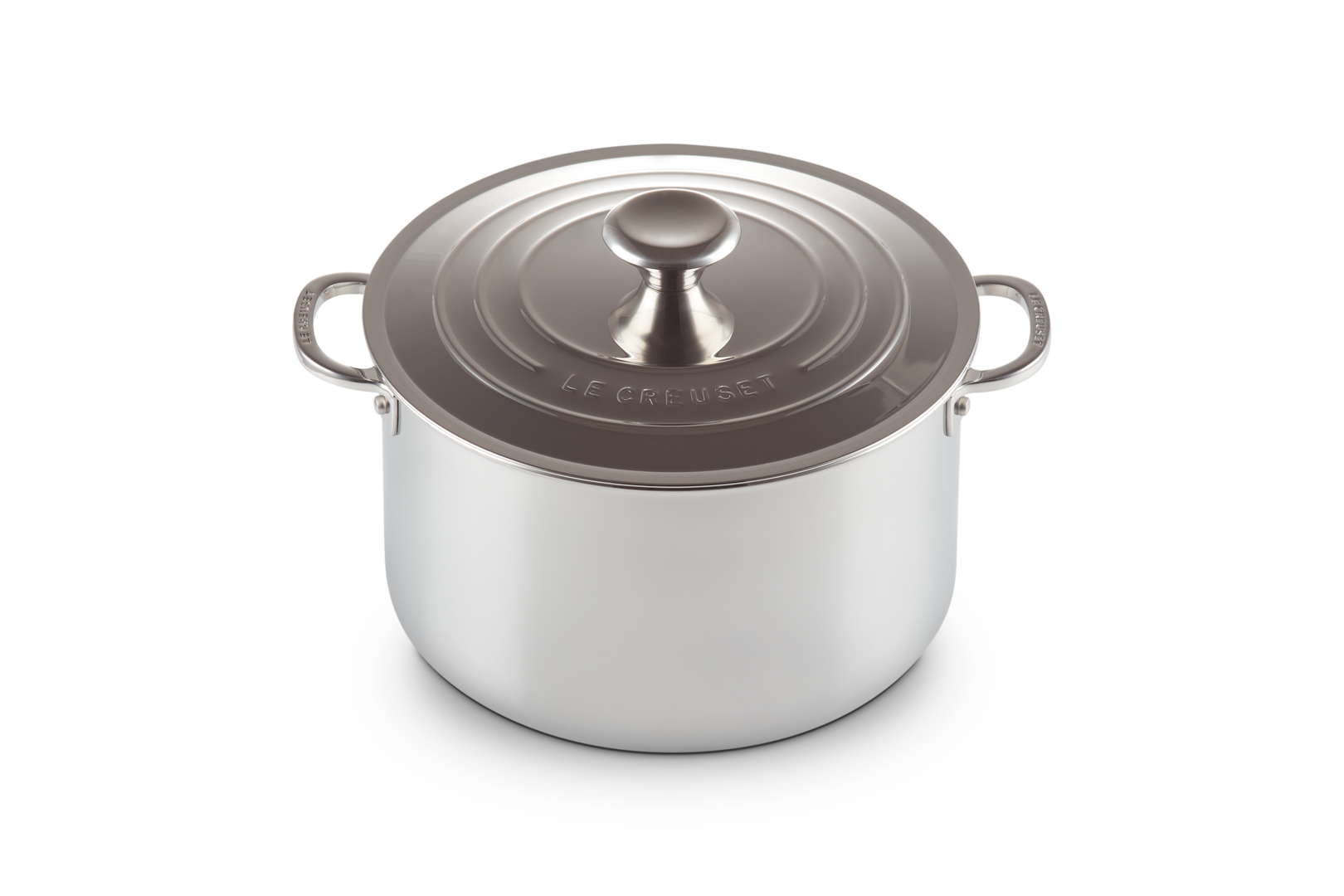Signature Stainless Steel Stock Pot with Lid