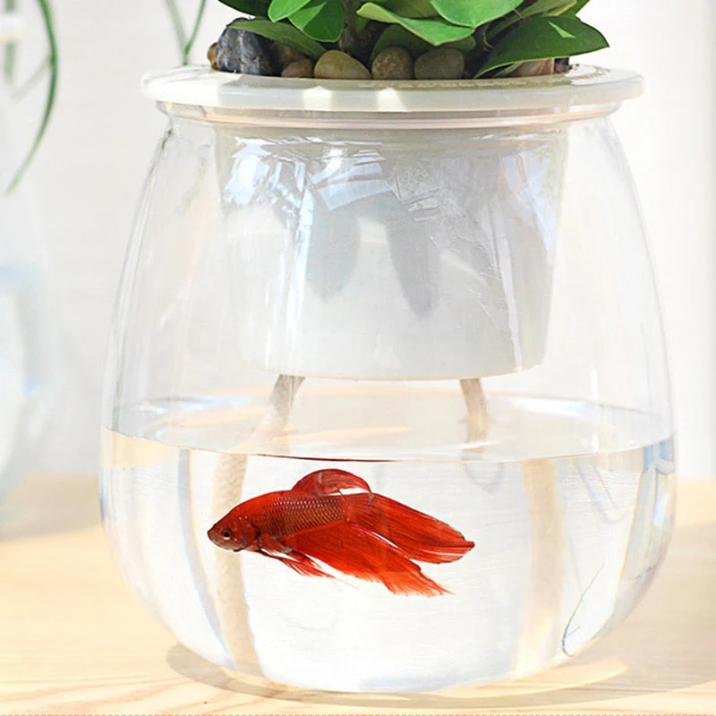 HULIANFU Self Watering Planter Pots Mini Round Design Succulent Plant Pot Indoor Home Garden Modern Decorative Pot Garden Supplies FU - Deanwangkt