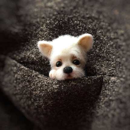 HULIANFU Non finished Handcrafted Pocket Animal Pet Doll Toy Wool Needle Felting Kit Dog Cat Fox Rabbit фетр для рукоделия фетр fieltro - Deanwangkt