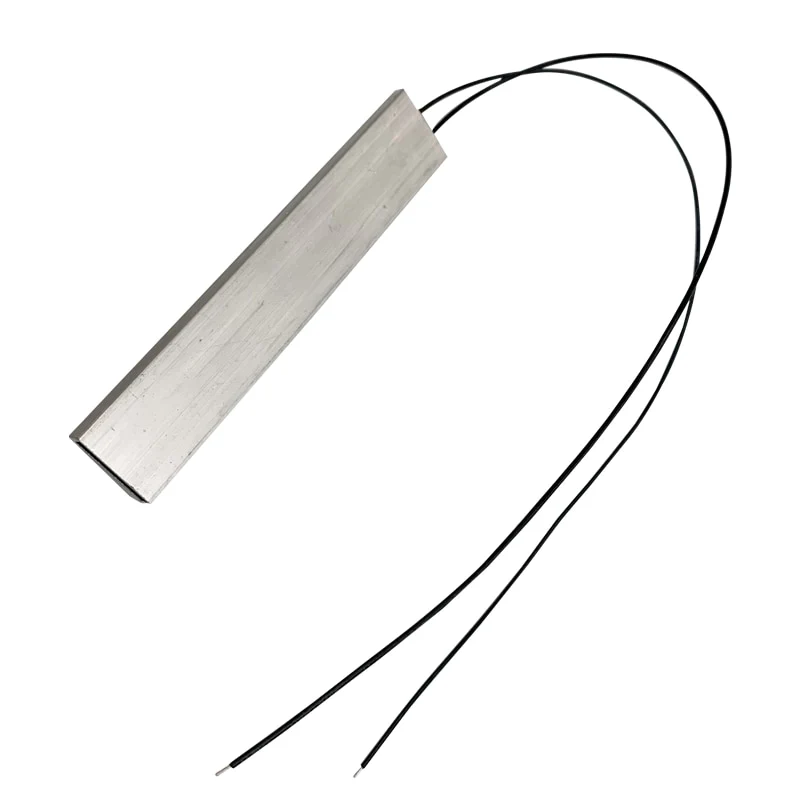 HULIANFU New PTC Heating Element 12v/110v/220v Heater Egg Incubator For Constant Thermostat Thermistor Air Heated Sensor Aluminum Shell - Deanwangkt