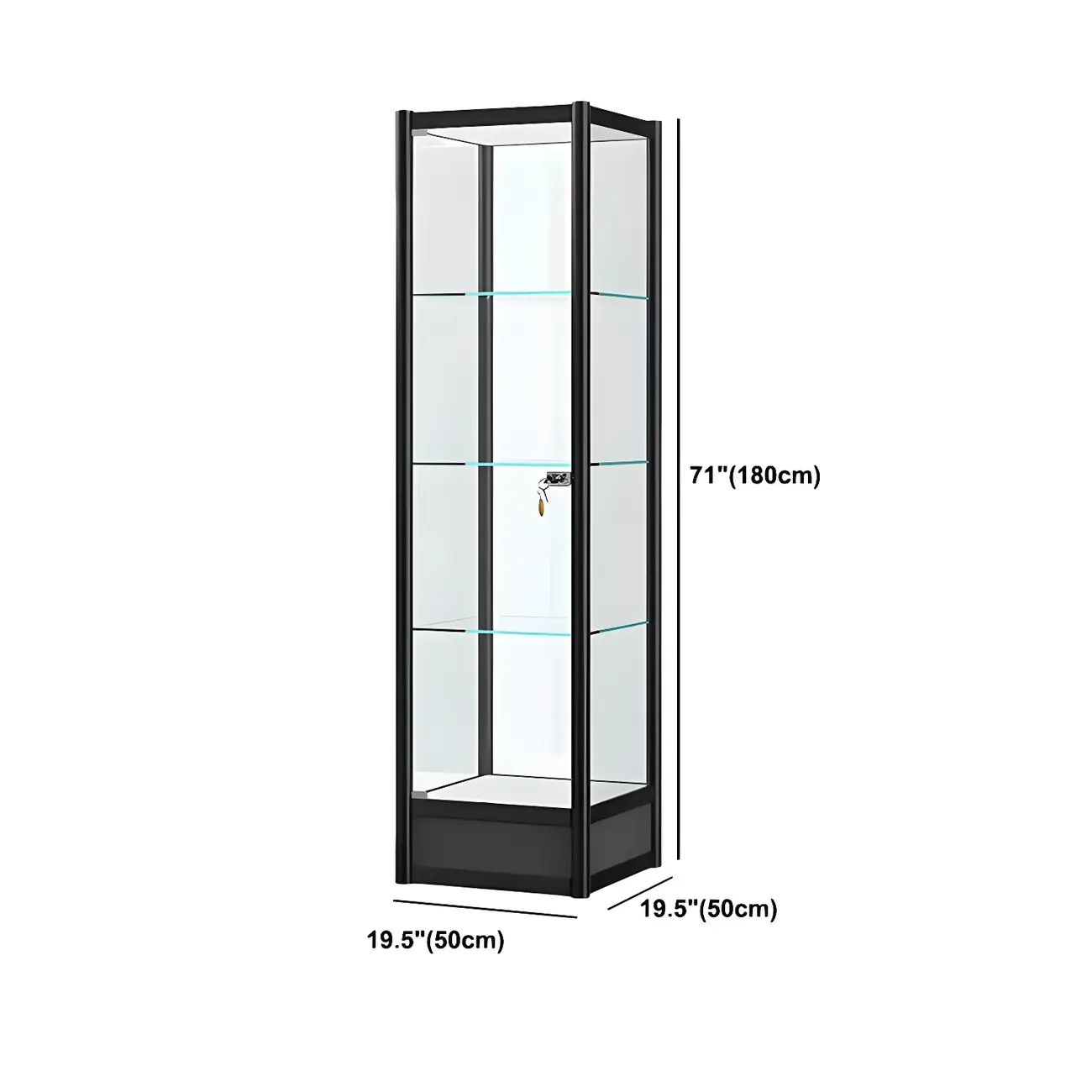 Rectangular Black Clear Glass Metal Frame Curio Cabinet