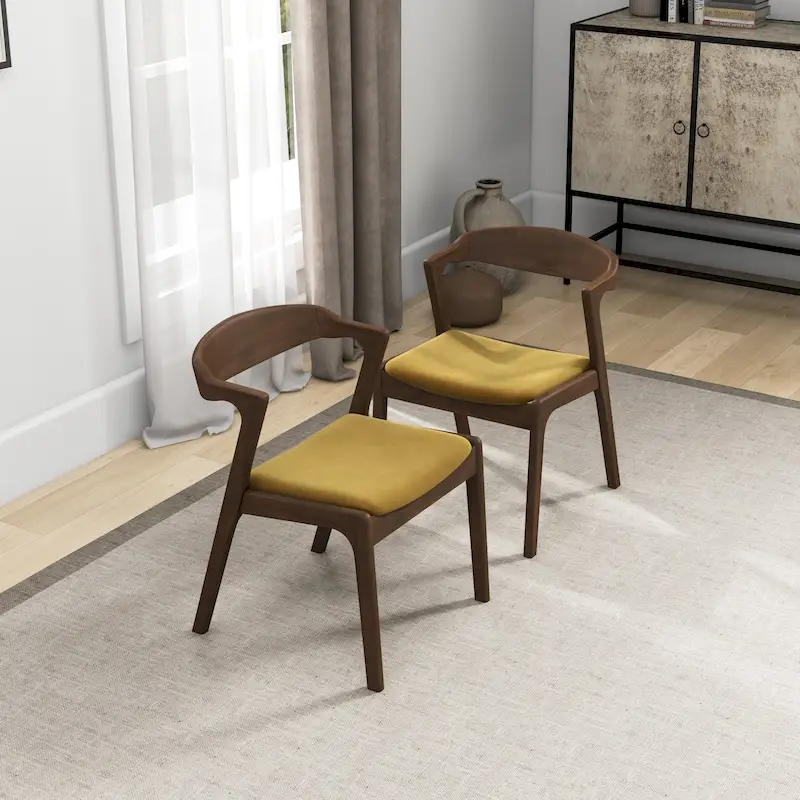 Rosanna Mid Century Modern Dining Chair (Set of 2)