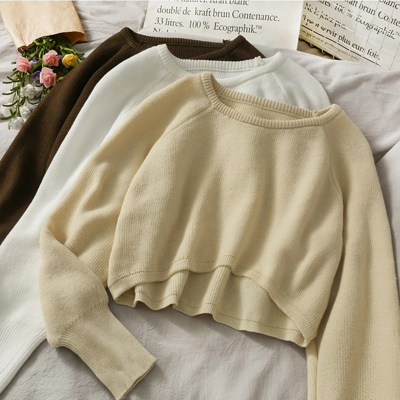 Hulianfu New Autumn Women Solid Sweater O-Neck Loose Sweater Pullover Crop Top Sweaters Shirts Femme Knit Outwear Jumpers - Deanwangkt