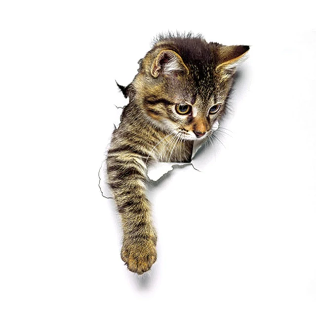 HULIANFU 2026  3D Lovely Pet Self-adhesive Wallpaper Children Living Room Bathroom Toilet Decals Mural Tattoo - Deanwangkt