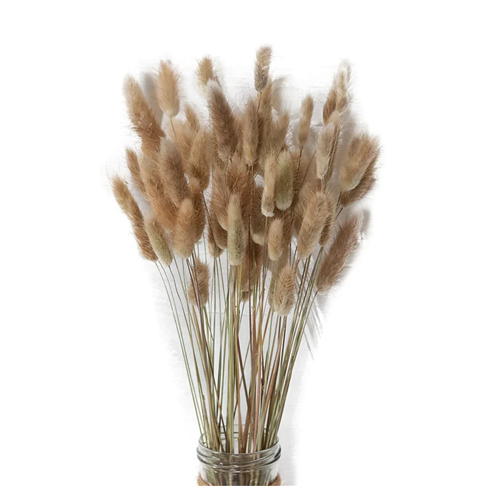 HULIANFU Natural Dried Flowers Lagurus Ovatus Rabbit Bunny Tail Grass Bunch Real Flower Bouquet Pampas Grass for Home Wedding Decoration - Deanwangkt