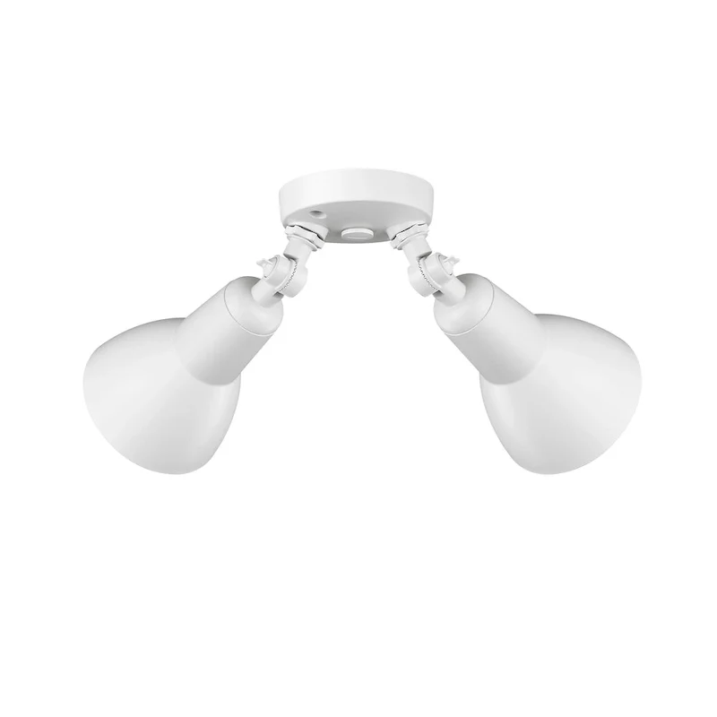 Millennium Lighting 2 Light LED Flood Light Fixture