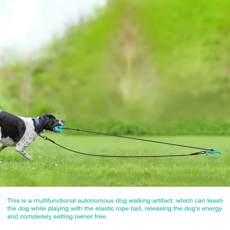 HULIANFU Training Stakes Portable Dog Leash Pile Tie-Out Stick Chew Toy Elasticity Chain for Outdoor Camping Backyard pet leash - Deanwangkt