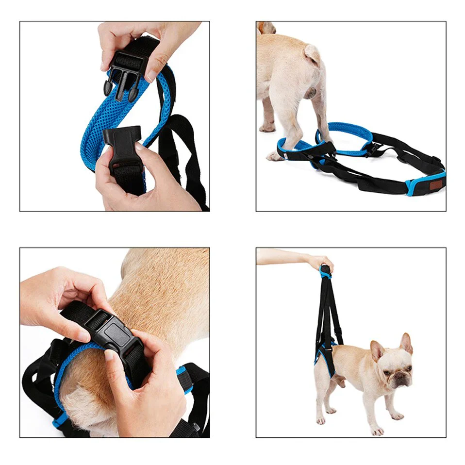 HULIANFU New Pet Leg Straps Walking Bracket Dog Leg Belts Hind Legs Support Harness with Assist Sling for Old Injured Dogs - Deanwangkt
