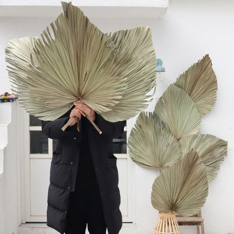 HULIANFU Palm Fan Leaf Dried Flower Palm Leaf Window Reception Party Art Wall Hanging Decoration Wedding Arch Arrangement - Deanwangkt