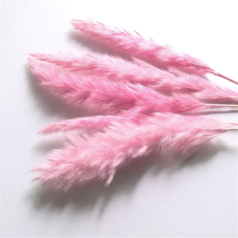 HULIANFU Natural Dried Flowers Lagurus Ovatus Rabbit Bunny Tail Grass Bunch Real Flower Bouquet Pampas Grass for Home Wedding Decoration - Deanwangkt