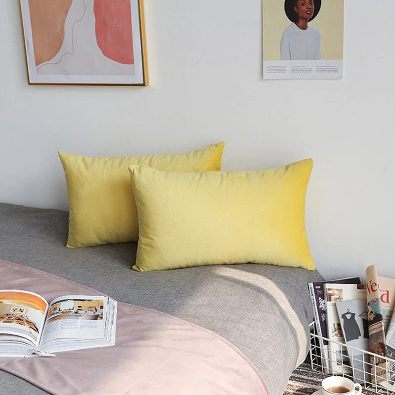 HULIANFU Super Soft Cushion Cover Velvet Pillow Cover For Sofa Living Room Housse De Coussin 30x50cm Decorative Pillows Nordic Decoration - Deanwangkt