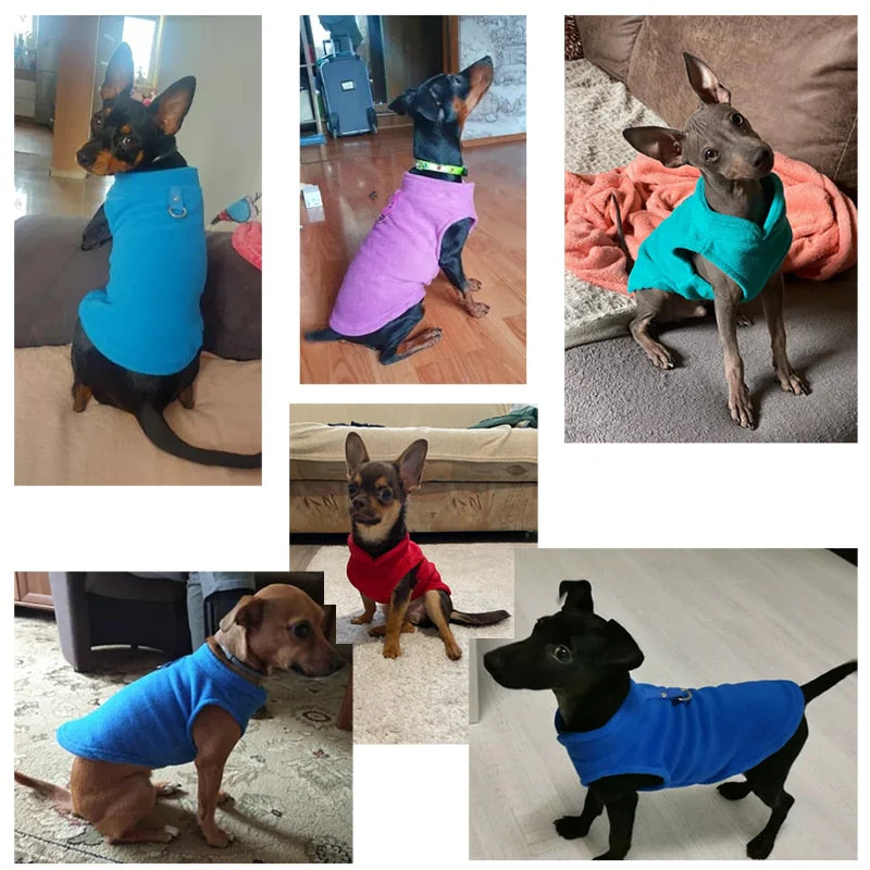 HULIANFU Winter Fleece Pet Dog Clothes Puppy Clothing French Bulldog Coat Pug Costumes Jacket For Small Dogs Chihuahua Vest Yorkie Kitten - Deanwangkt