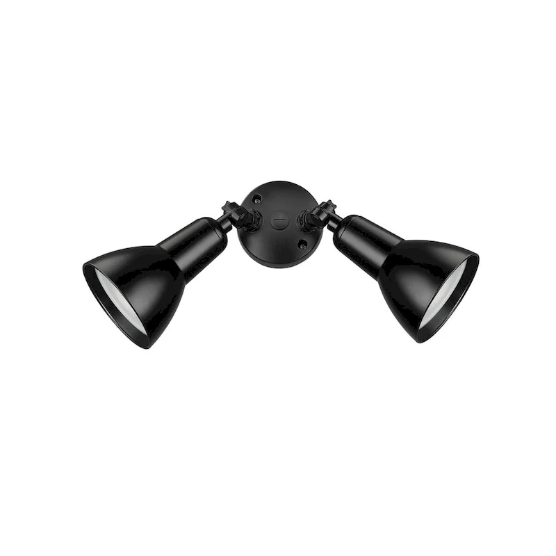 Millennium Lighting 2 Light LED Flood Light Fixture