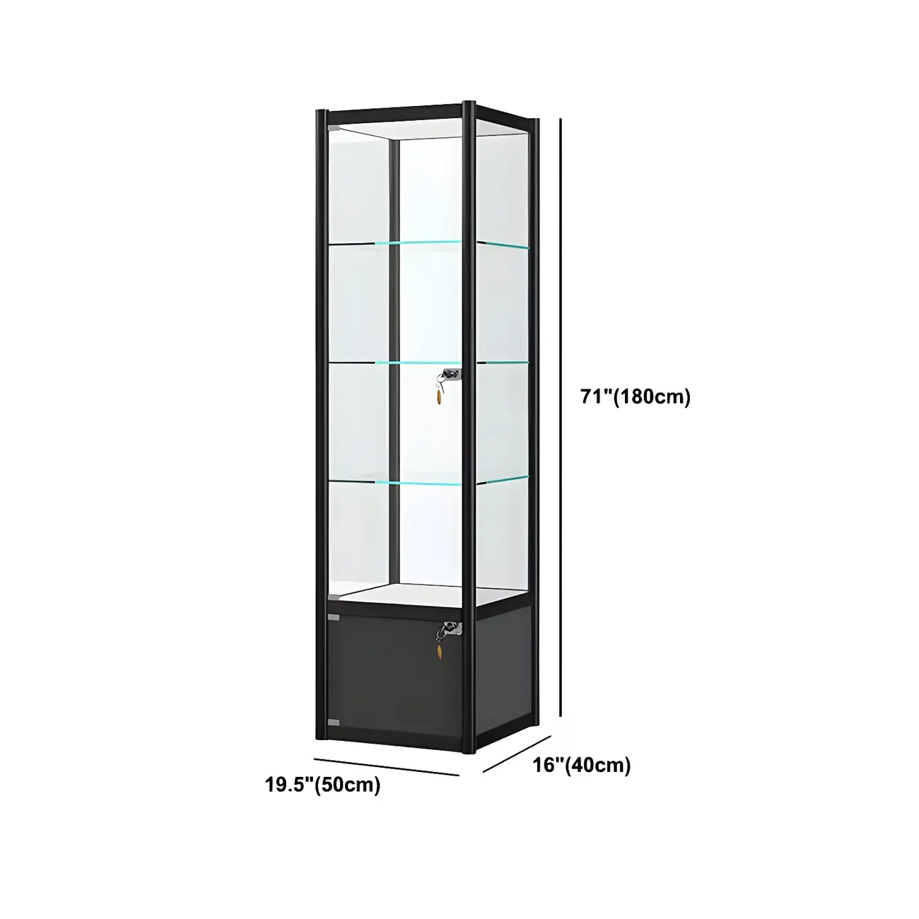 Rectangular Black Clear Glass Metal Frame Curio Cabinet