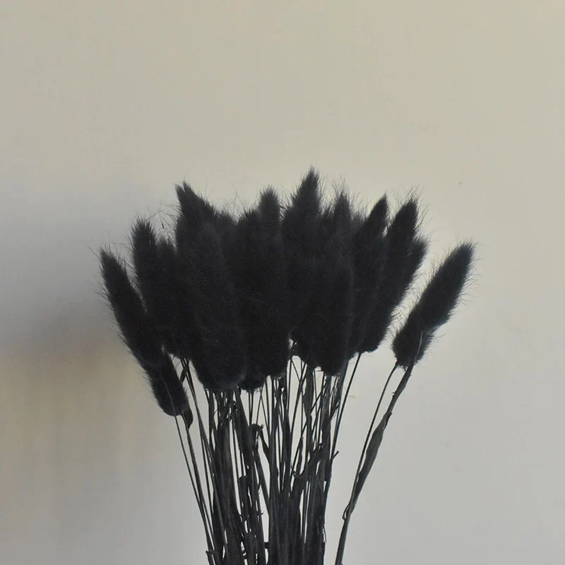 HULIANFU Natural Dried Flowers Lagurus Ovatus Rabbit Bunny Tail Grass Bunch Real Flower Bouquet Pampas Grass for Home Wedding Decoration - Deanwangkt