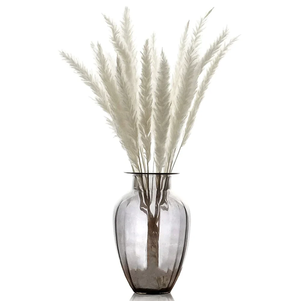 HULIANFU Natural Dried Flowers Lagurus Ovatus Rabbit Bunny Tail Grass Bunch Real Flower Bouquet Pampas Grass for Home Wedding Decoration - Deanwangkt