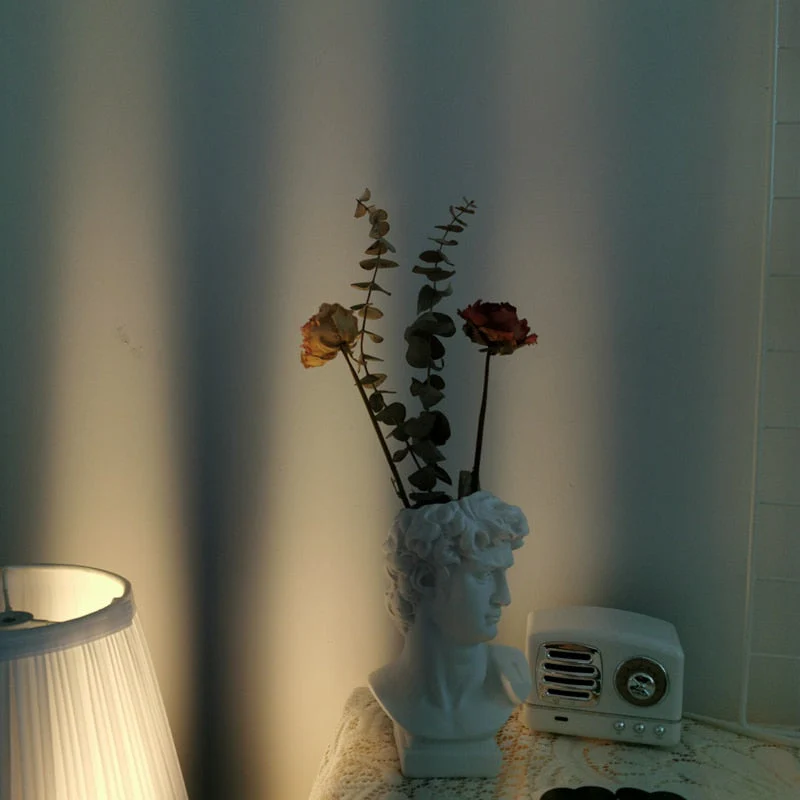 HULIANFU W&G Nordic Vase Home Decor Vase Creative Human Head Portrait Flower Vases Room Decoration Resin David Flower Vase Room Decor - Deanwangkt