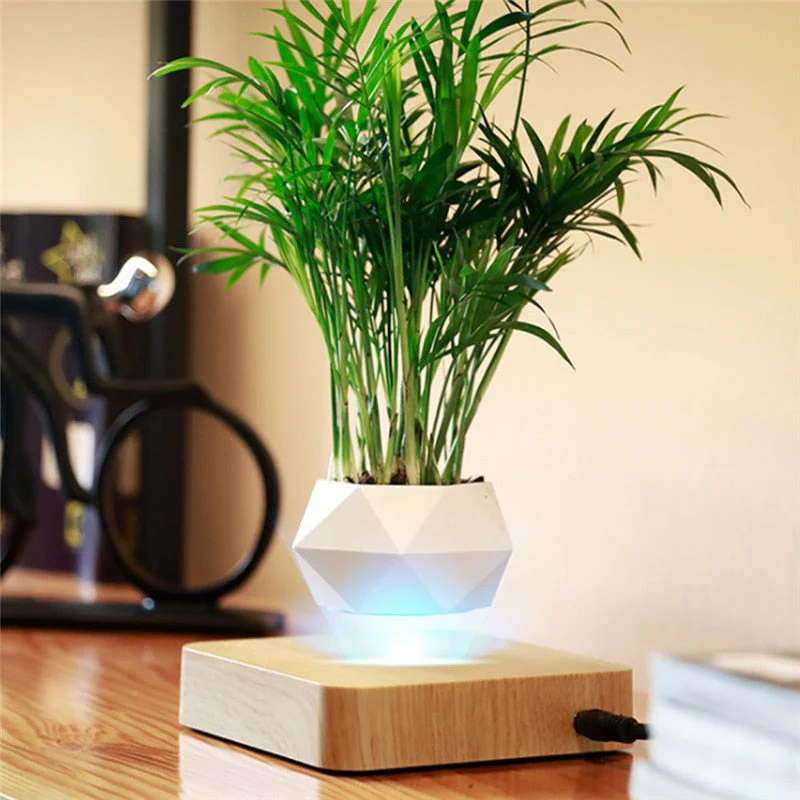 HULIANFU Magnetic suspension flower pot Levitating Air Bonsai Pot plant pot succulent pot patio decoration Desktop Flower/Green Plant - Deanwangkt