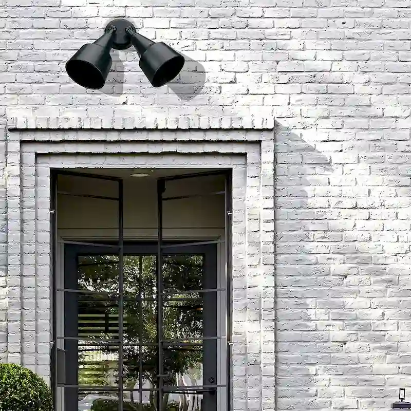 Brando 2 Light Flood Light in Black