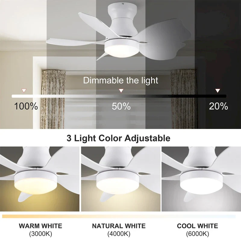 30 In Small Kids Ceiling Fan Lighting with Remote Control
