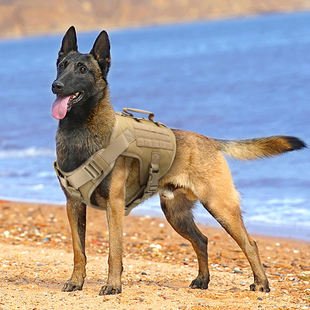 HULIANFU Tactical Dog Harness Pet Military Training Dog Vest German Shepherd Dog Harness Molle Vest For Medium Large Dogs - Deanwangkt