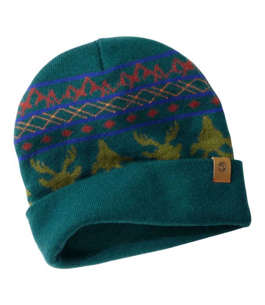 Men's Pistil Willard Beanie