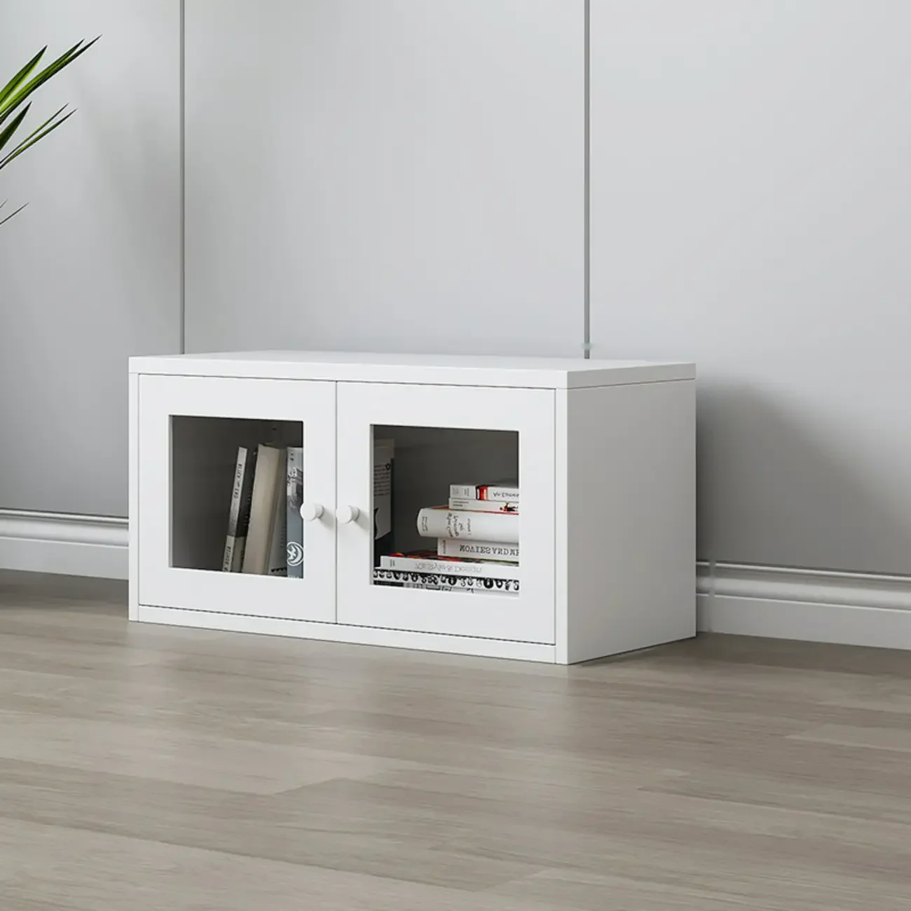 Modern Steel Glass Adjustable Shelves Display Storage Cabinet