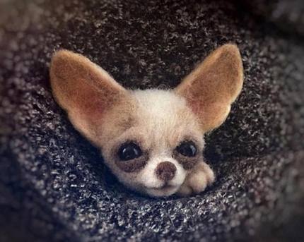 HULIANFU Non finished Handcrafted Pocket Animal Pet Doll Toy Wool Needle Felting Kit Dog Cat Fox Rabbit фетр для рукоделия фетр fieltro - Deanwangkt