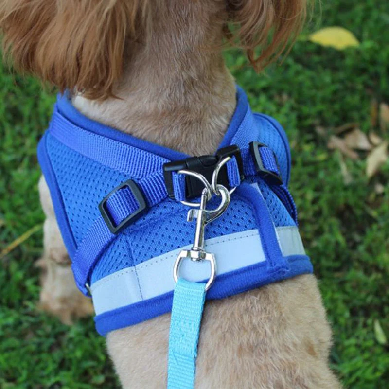 HULIANFU Vest Harness Leash Adjustable Mesh Vest Dog Harness Collar Chest Strap Leash Harnesses With Traction Rope XS/S/M/L/XL - Deanwangkt