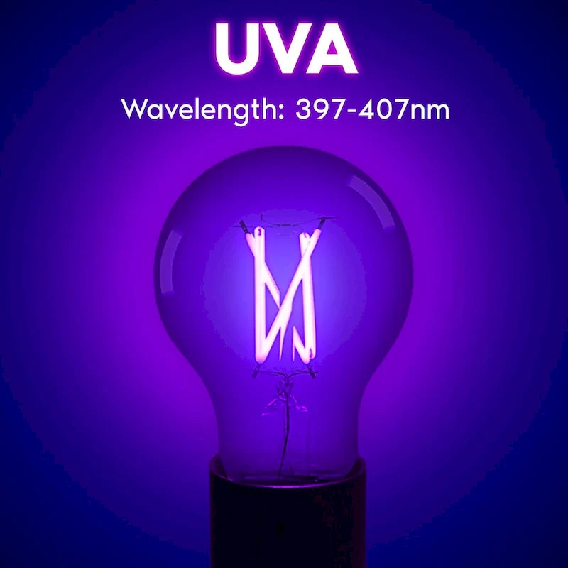 Luxrite A19 UV LED Black Light Bulb, 6W, Enclosed Fixture Rated, E26 Base - Halloween, Party, Body Paint, Poster 3-Pack