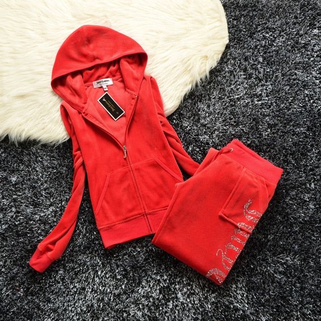 Hulianfu Spring/Fall Women's Brand Velvet Fabric Tracksuits Velour Suit Women Track Suit Hoodies And Pants fat sister sportswear - Deanwangkt