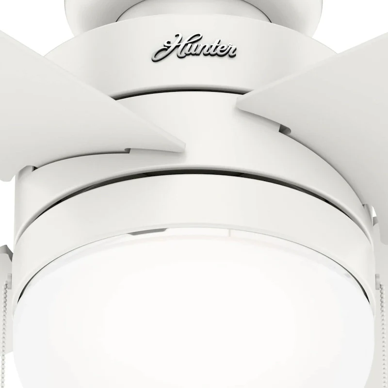 Hunter 52  Timpani Ceiling Fan w/ LED Light, Pull Chain