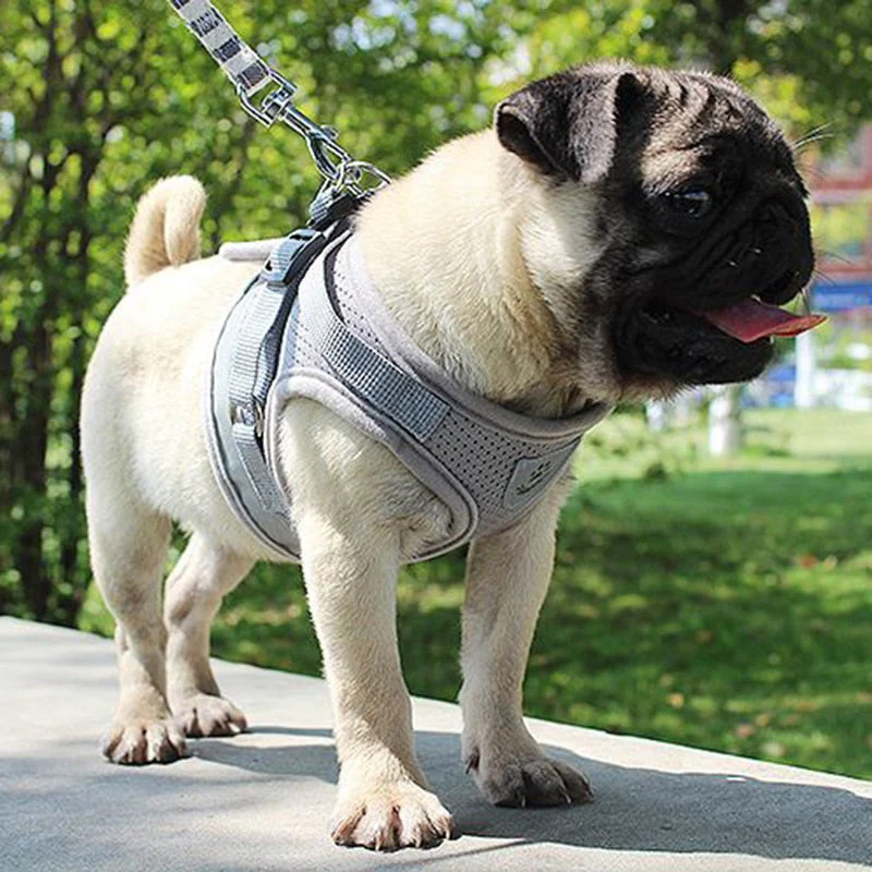 HULIANFU Vest Harness Leash Adjustable Mesh Vest Dog Harness Collar Chest Strap Leash Harnesses With Traction Rope XS/S/M/L/XL - Deanwangkt