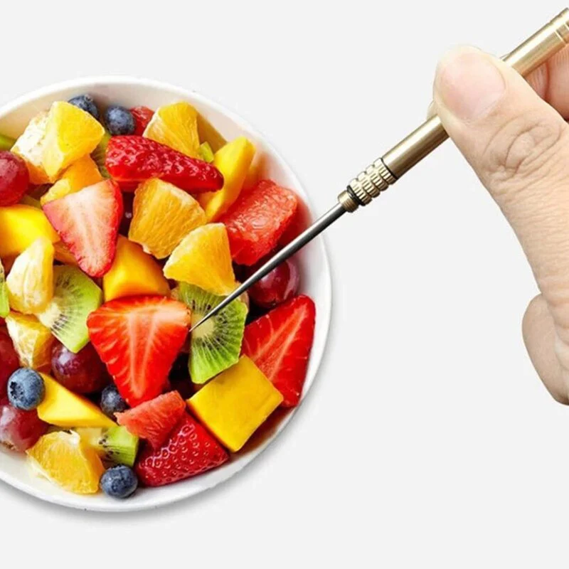 HULIANFU Titanium Outdoor Edc Portable Multifunctional Toothpick Bottle Fruit Fork Camping Tool Toothpick Tube Stronger Than Dental Floss - Deanwangkt