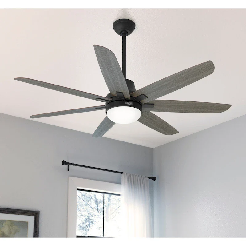Hunter 60  Wilder Ceiling Fan with LED Light Kit and Wall Control