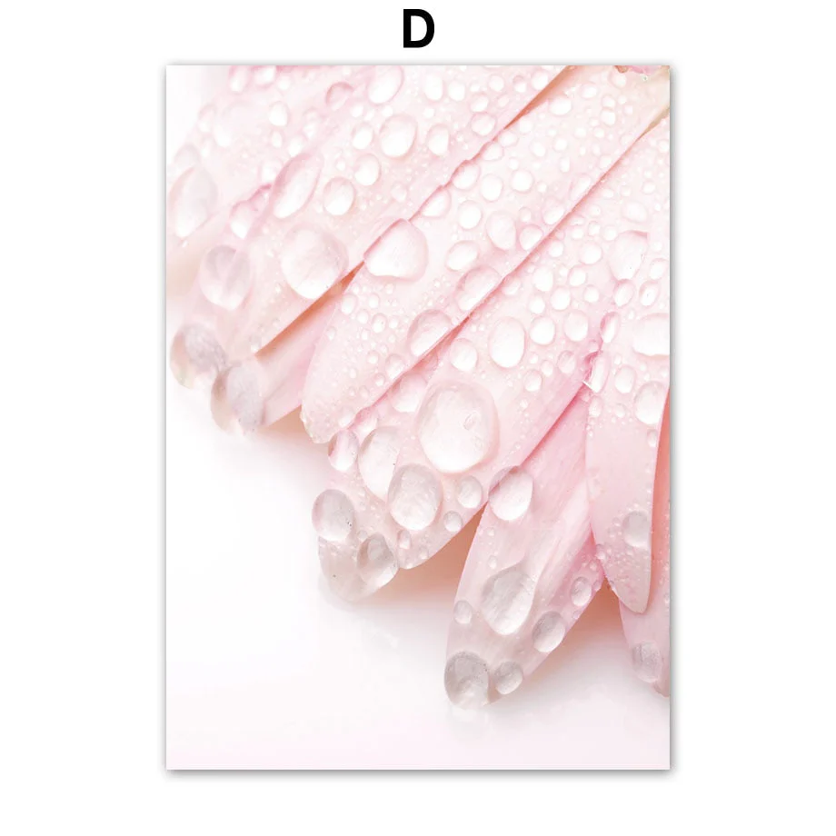 HULIANFU Pink Flower Dahlia Peony Coral Corridor Quotes Wall Art Canvas Painting Nordic Posters And Prints Wall Pictures For Living Room - Deanwangkt
