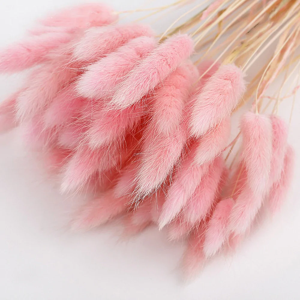 HULIANFU Natural Dried Flowers Lagurus Ovatus Rabbit Bunny Tail Grass Bunch Real Flower Bouquet Pampas Grass for Home Wedding Decoration - Deanwangkt