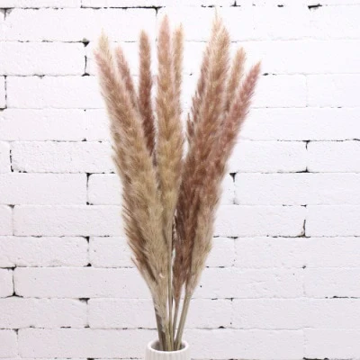HULIANFU Natural Dried Flowers Lagurus Ovatus Rabbit Bunny Tail Grass Bunch Real Flower Bouquet Pampas Grass for Home Wedding Decoration - Deanwangkt