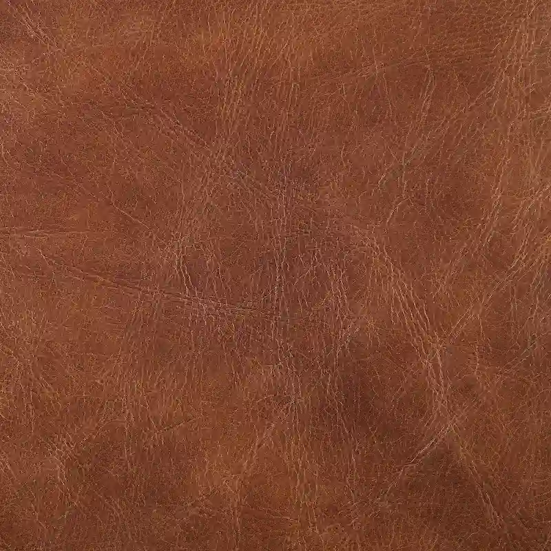 Art Leon Genuine Leather Accent Lounge Chair