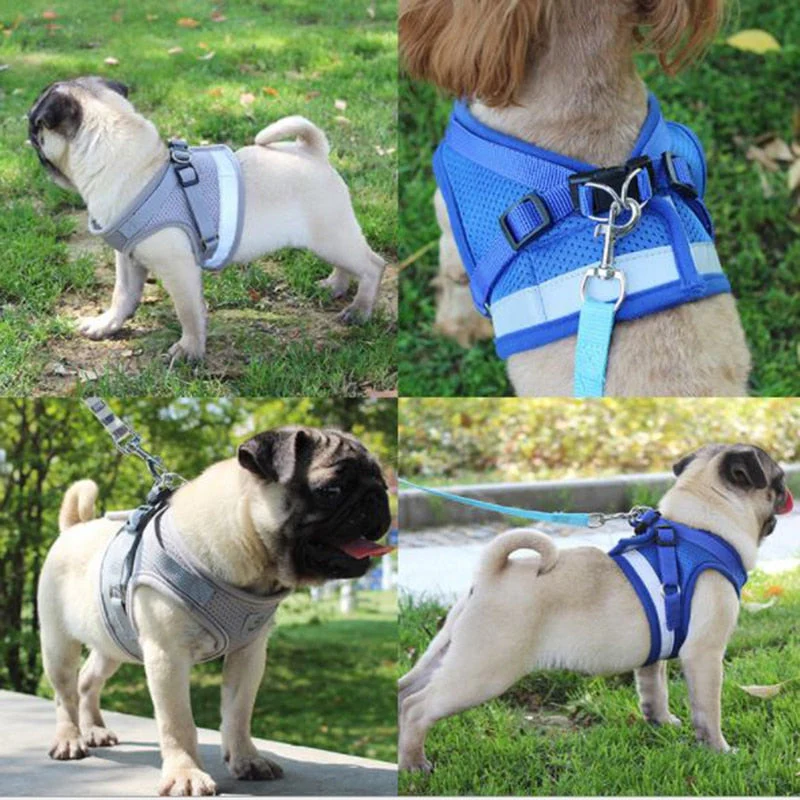 HULIANFU Vest Harness Leash Adjustable Mesh Vest Dog Harness Collar Chest Strap Leash Harnesses With Traction Rope XS/S/M/L/XL - Deanwangkt