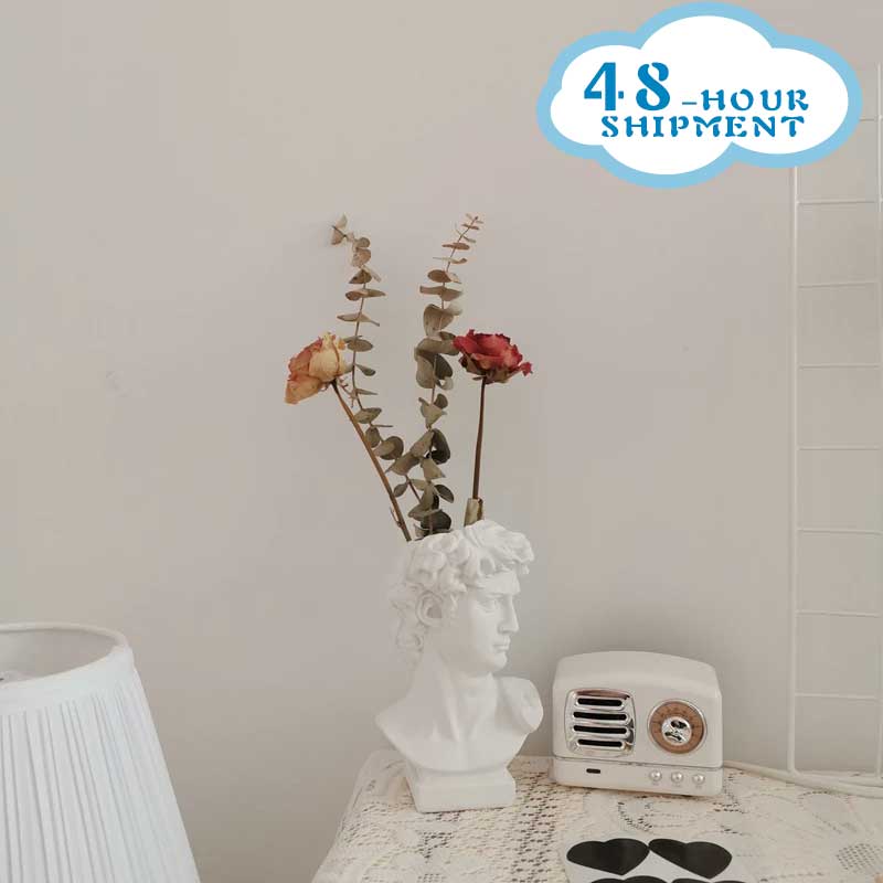 HULIANFU W&G Nordic Vase Home Decor Vase Creative Human Head Portrait Flower Vases Room Decoration Resin David Flower Vase Room Decor - Deanwangkt