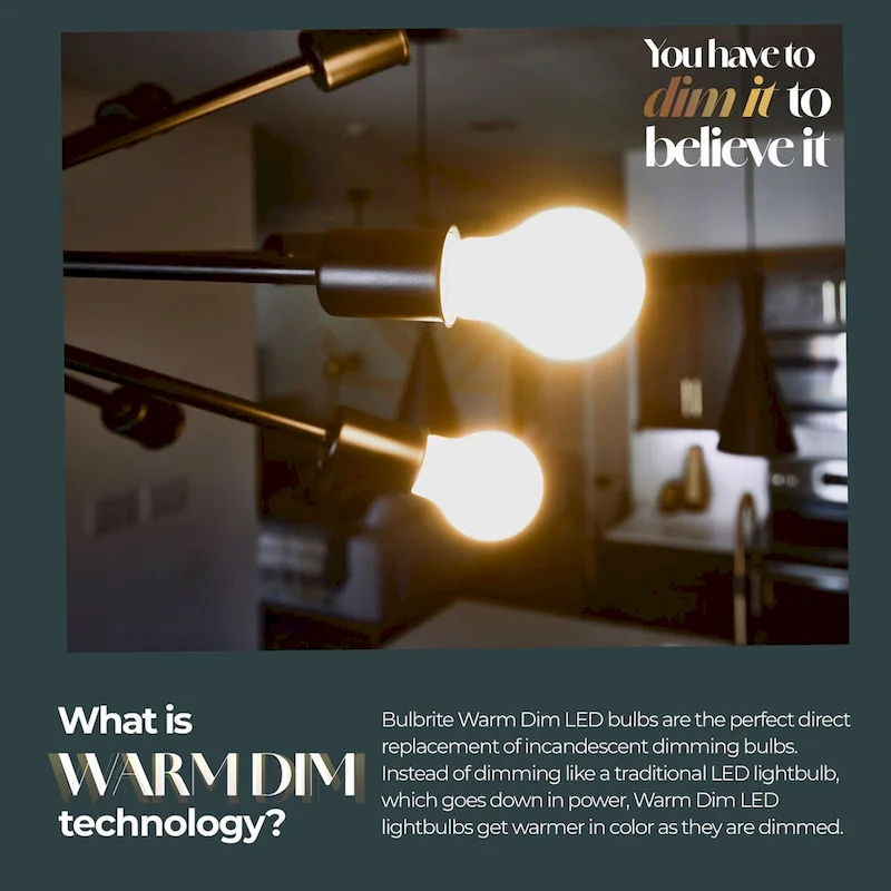 Bulbrite 5 Watt LED G16 Light Bulbs, Warm Dimming 3000K (Soft White) - 1800K (Candlelight), 500 Lumens, (4 Pack) - Pack of 4